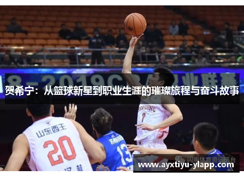 贺希宁：从篮球新星到职业生涯的璀璨旅程与奋斗故事